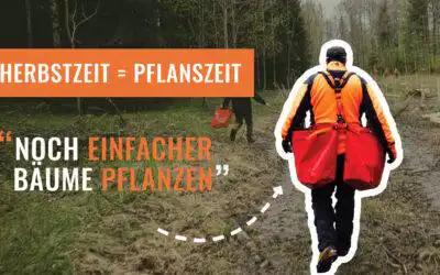 Pflanztaschen für die Pflanzsaision 2024